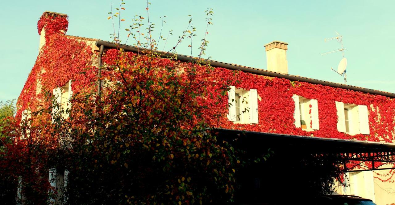 Edera Rossa Bed and Breakfast Treviso Esterno foto
