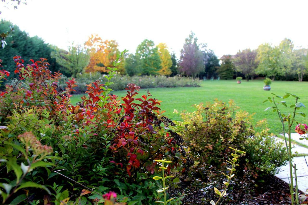 Edera Rossa Bed and Breakfast Treviso Esterno foto
